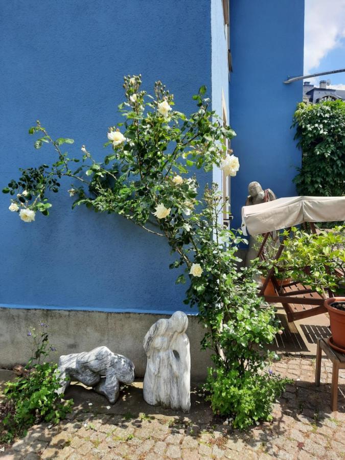 Kunstoase Am Blauen Haus * Dresda